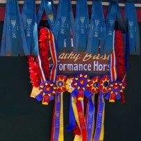 2013 Scottsdale Arabian Show Results